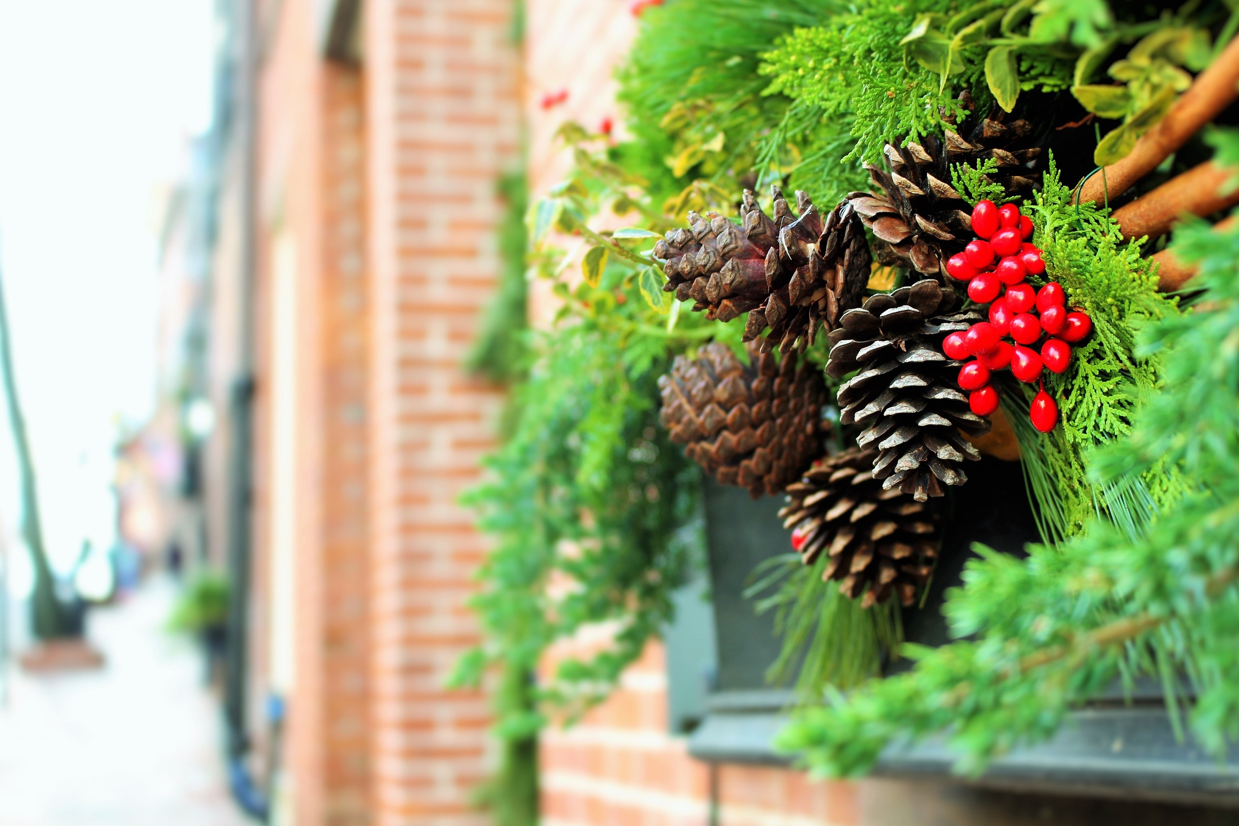 Image of a holiday garland on the side of a brick building
